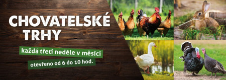 17.8.  Chovatelské trhy - srpen 